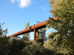 Finja im LSP Duisburg 01.11.2022