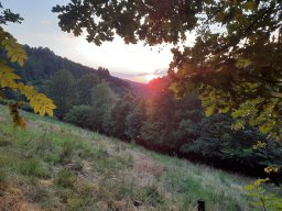 Sauerland 2022