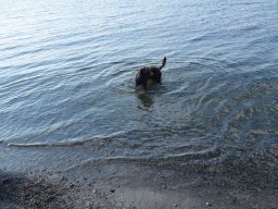 Urlaub Ostsee 2022