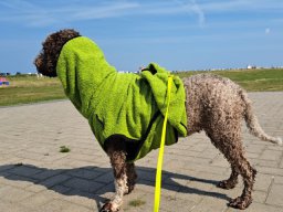 Wangerland 2024