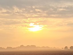 Wangerland 2024