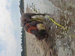 Wangerland 2024